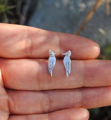 Aros Carpintero Negro1