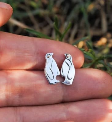 Aros Pingüino de Magallanes1