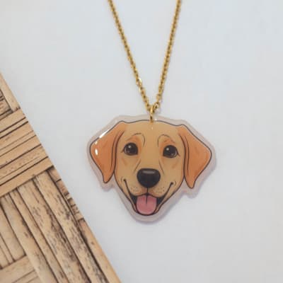 Collar TR Labrador1
