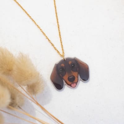 Collar TR Salchicha1