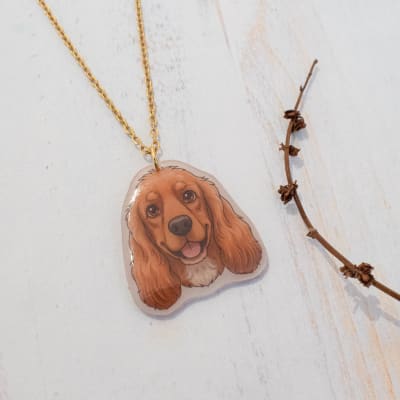 Collar TR Cocker Spaniel1