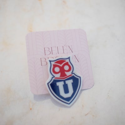 Pin TR U de Chile1