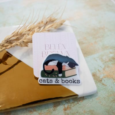 Pin TR Cats and books1