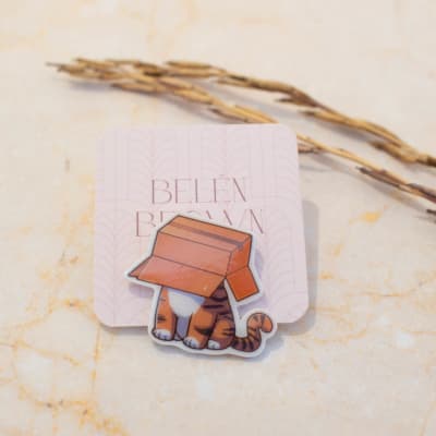 Pin TR Gato con caja1