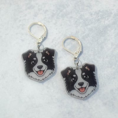 Aros TR Border Collie1