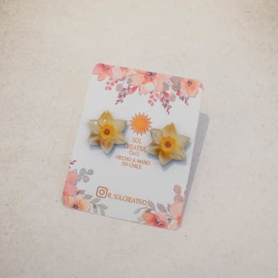 Narciso Mini1