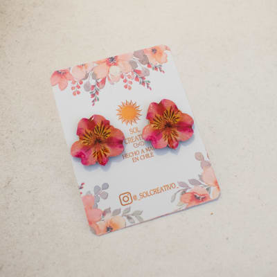 Astromeria mini rosa oscuro Mini1