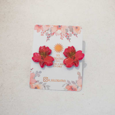 Astromeria fucsia Mini1