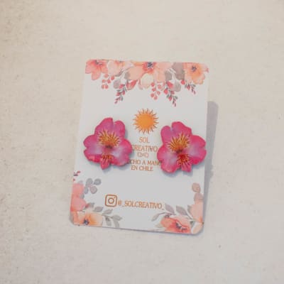 Astromeria mini rosada Mini1