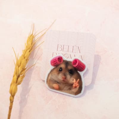 Pin Hamster paz1