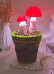 Amanitas