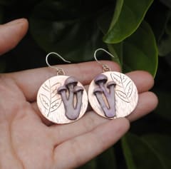 Aros Cortinarius Magellanicus