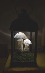 Farol de hongos