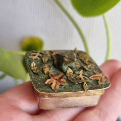 Caja Ranita de Darwin