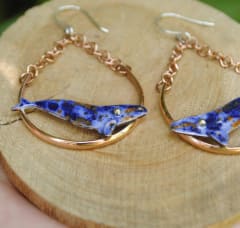 Aros Ballenas austral