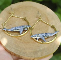 Aros Ballenas jorobadas