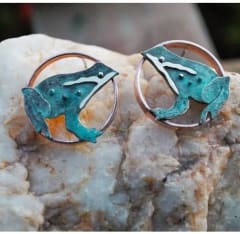 Aros Ranitas de Darwin patina