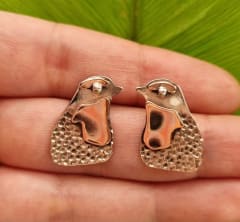 Aros Mini retrato de chucao