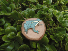 Broche Ranita de Darwin