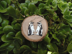 Aros Pingüino de Humboldt