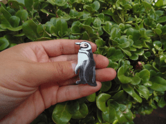 Broche Pingüino de Humboldt