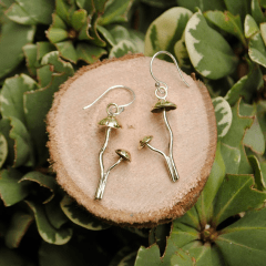 Hongo Mycena adonis bronce