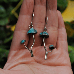 Mycena patinados