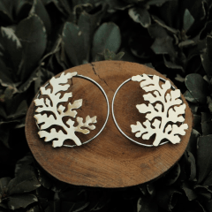 Asplenium de bronce