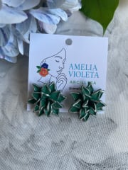 Mini suculenta