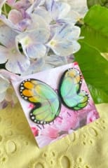Aros Mariposa fondo verde y amarillo