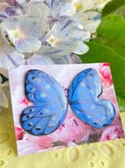 Aros Alas Mariposa color azul metalizado
