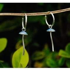 Aros Mycena Cyanocephala