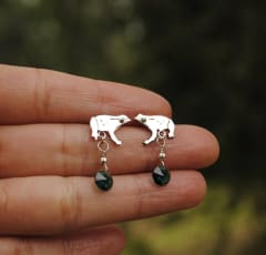 Aros Ranita de Darwin Cristal