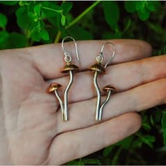 Aros Hongo Mycena Adonis