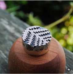 Cajita Helecho Paragua