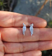 Aros Carpintero Negro