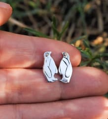 Aros Pingüino de Magallanes