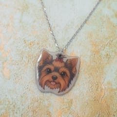 Collar TR Yorkshire