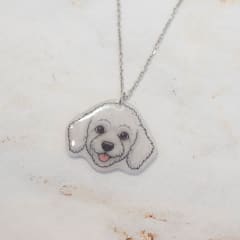 Collar TR Poodle