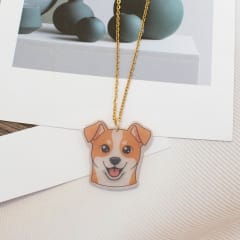 Collar TR Fox Terrier