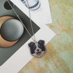 Collar TR Border Collie