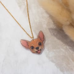 Collar TR Chihuahua