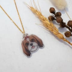 Collar TR Shih Tzu café y blanco