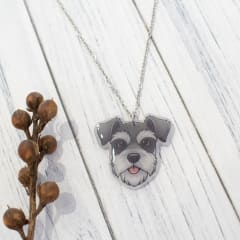 Collar TR Schnauzer