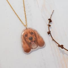Collar TR Cocker Spaniel