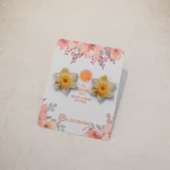 Narciso Mini