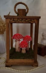 Amanitas en farol de madera