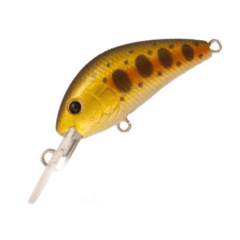 SEÑUELO RAPTURE EVOQUE DR #YNT, 50MM