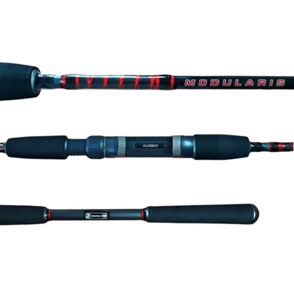 CAÑA ALCEDO MODULARIS 2 TRAMOS, 270CM1