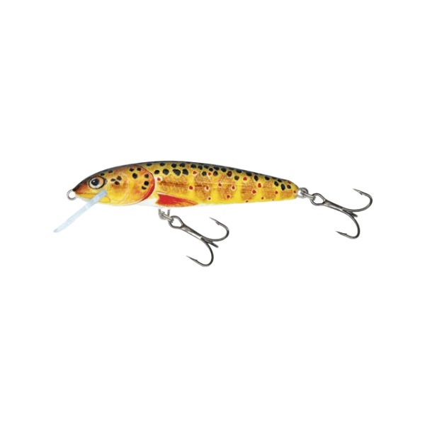 SALMO MINNOW FLOATING - TROUT1